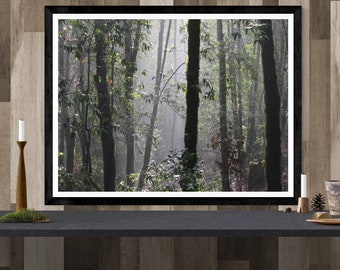 forest photography print, trees wall art, woods landscape print, nature art print, forest canvas print,  green wall art "green misty forest"