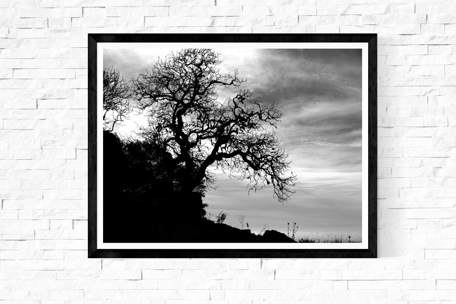 Black and White Photography Print, Landscape Art Print, Gnarled