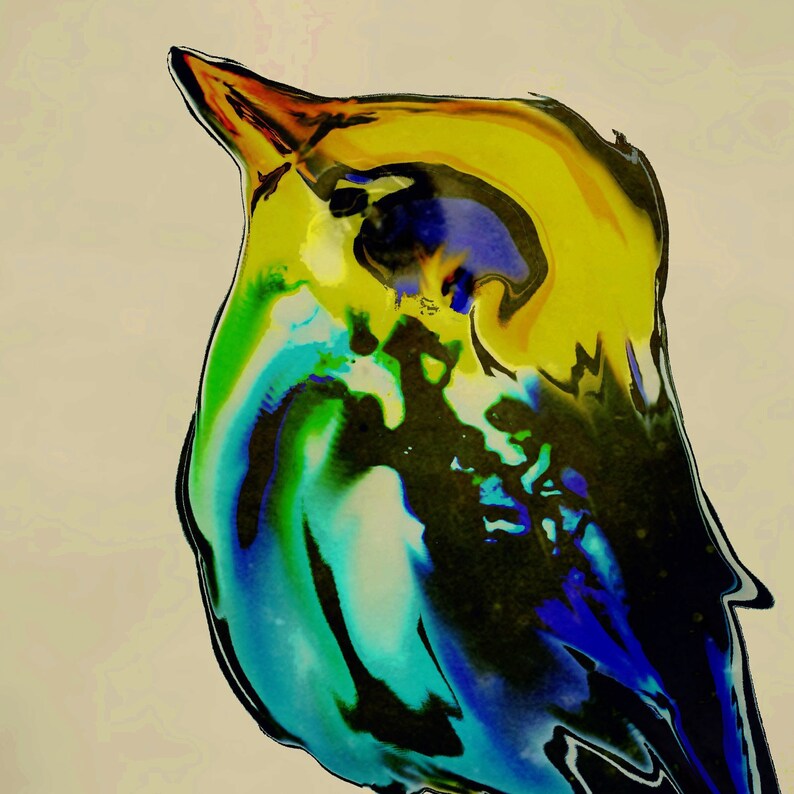 Bird Art Print, Yellow Green Blue Large Wall Art, Colorful Bohemian