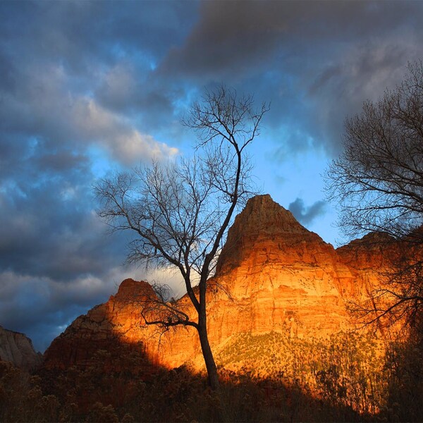 Zion National Park photography, sunset art, landscape print, canvas print, mountain art print, National Parks art print "East Temple Sunset"