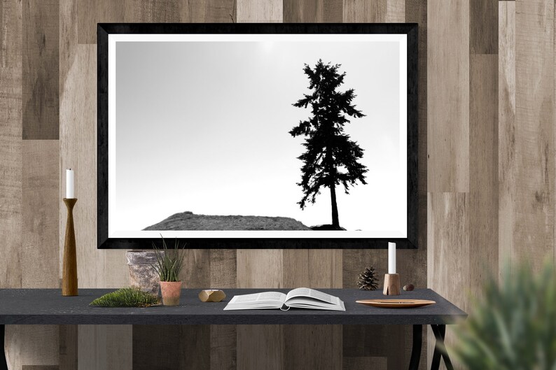 May include: A black and white photograph of a single tree silhouetted against a white sky. The tree is on a small hill. The photograph is framed in a black frame and hanging on a wood wall.