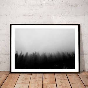 Forest Photography Print, Black and White Nature Art Print, Minimal ...
