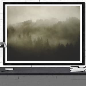 redwood forest photography art print, black and white wall art, sepia photography, nature art print, woods wall art &quot;redwood morning mist&quot;