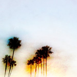 palm tree photography,  California art print, vintage style retro wall art, beach wall art, beach decor, tree photo &quot;retro palm tree sunset&quot;