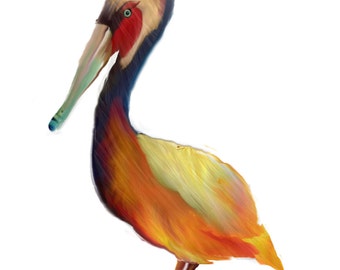 pelican illustration art print, bird art print, pelican wall art, beach decor, endangered species art, canvas art "California Brown Pelican"