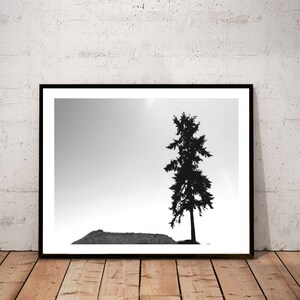 May include: Black and white photograph of a single tree silhouetted against a light grey sky. The tree is in the centre of the image and is surrounded by a grassy area.
