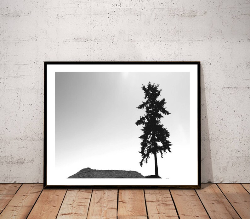 May include: Black and white photograph of a single tree silhouetted against a light grey sky. The tree is in the centre of the image and is surrounded by a grassy area.