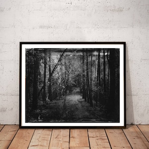 fotografía en blanco y negro, maderas naturales paisaje arte decoración impresa, estilo gótico vintage estilo daguerrotipo arte de pared grande &quot;bosque de secuoyas oscuras&quot;