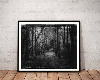 May include: A black and white photograph of a path through a forest. The path is lined with trees on either side, and the light is dim, creating a sense of mystery.