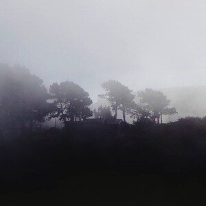 impresión de fotografía de paisajes, arte de pared minimalista, impresión de árboles, arte de pared de paisajes, impresión de naturaleza, fotografía en blanco negro &quot;cresta de roble brumoso&quot;