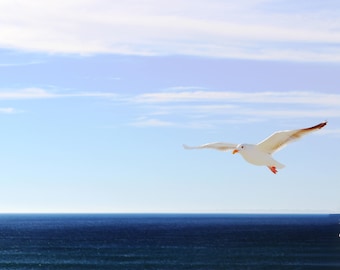 photographie d’oiseaux volants, art mural minimaliste, art mural côtier, impression de mouette, décor de plage, art des oiseaux de mer, impression d’art de plage « vol côtier »