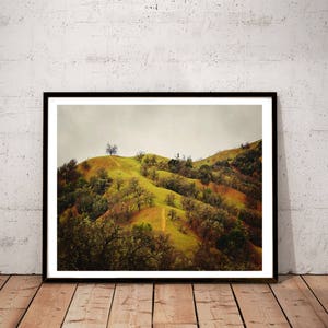 mountain photography print, California landscape wall art, oak tree art print, earthtone wall art, landscape canvas print  &quot;oak tree path&quot;