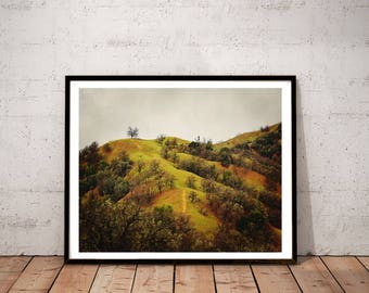 impresión de fotografía de montaña, arte de pared de paisaje de California, impresión de arte de roble, arte de pared de tono de tierra, impresión de lienzo de paisaje "camino de roble"