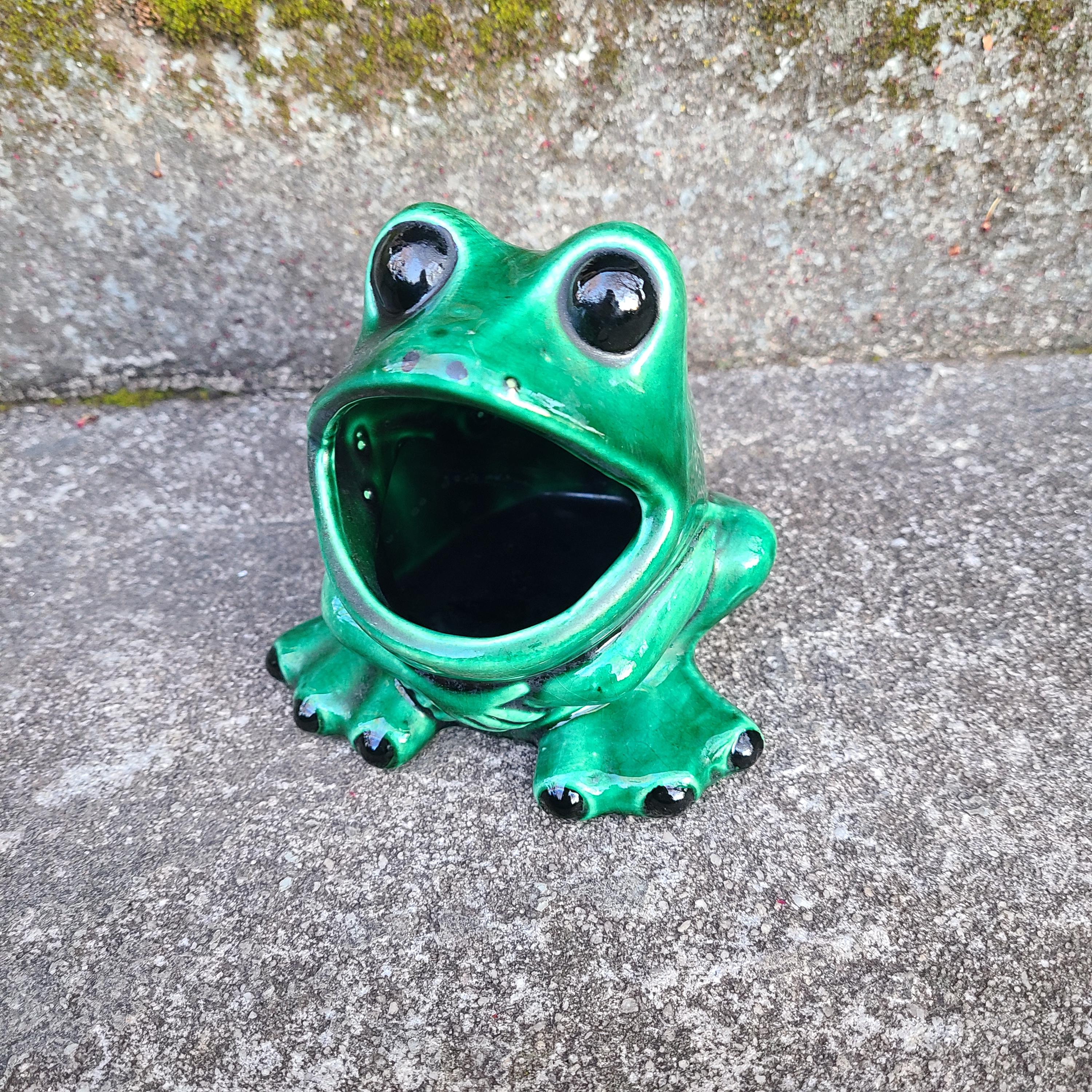 Vintage Kitchen Frog Scrubbie Holder 1970s Kitchen Sink Frog