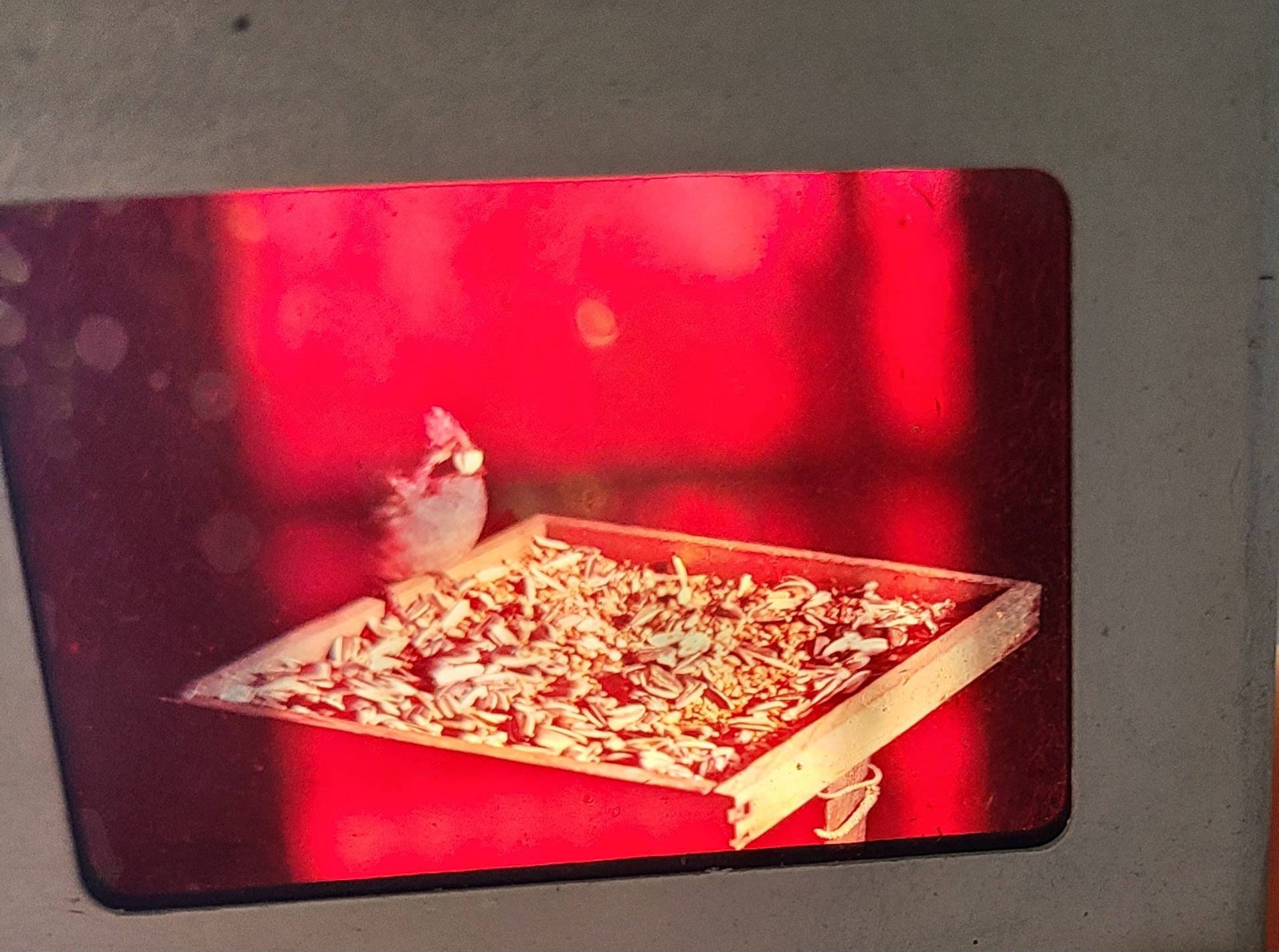 Vintage Metal Slide Case 35 Mm Slide Box Gray Metal Slide Storage Box