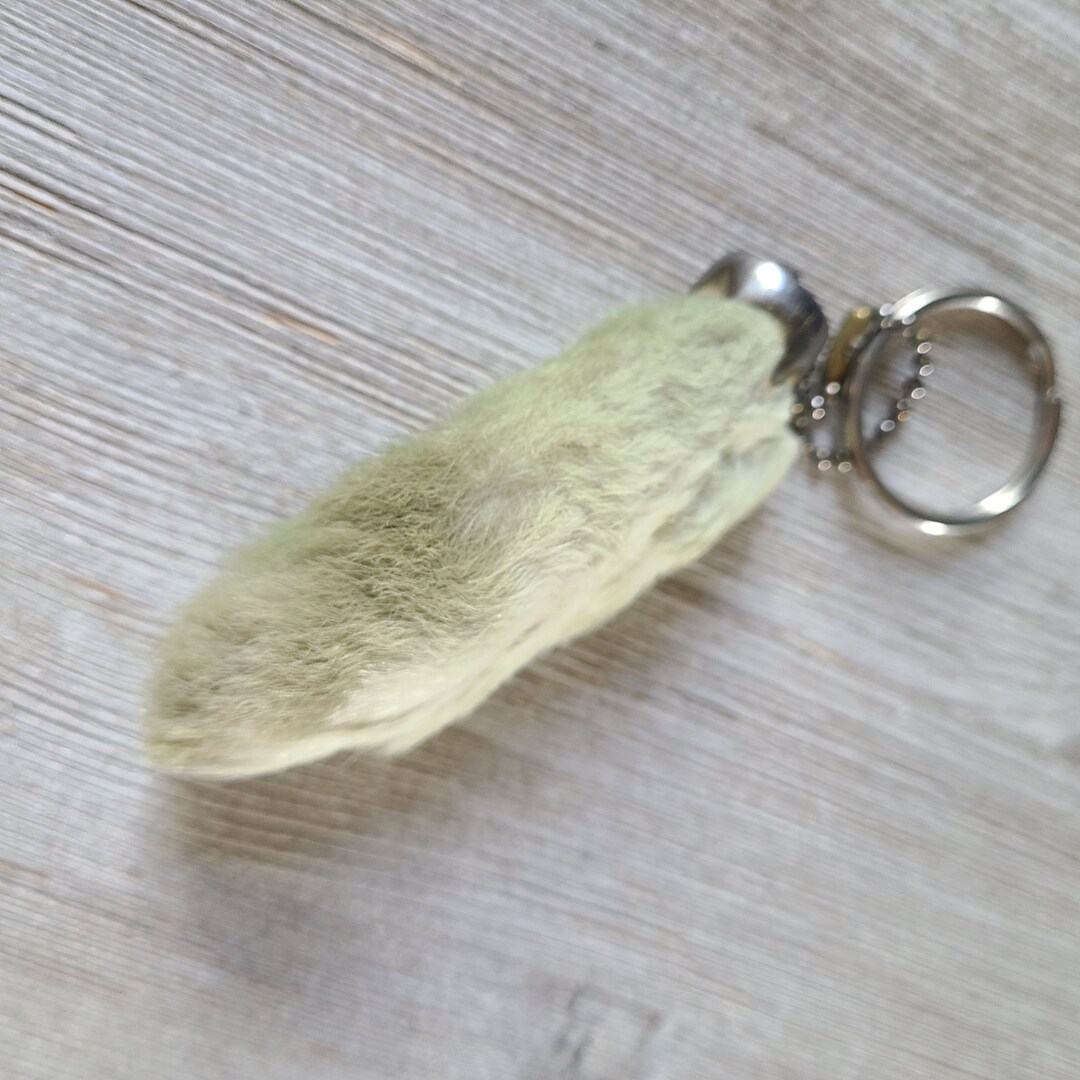 Vintage Rabbit Foot Keychain 1970's Real Lucky Rabbits Etsy