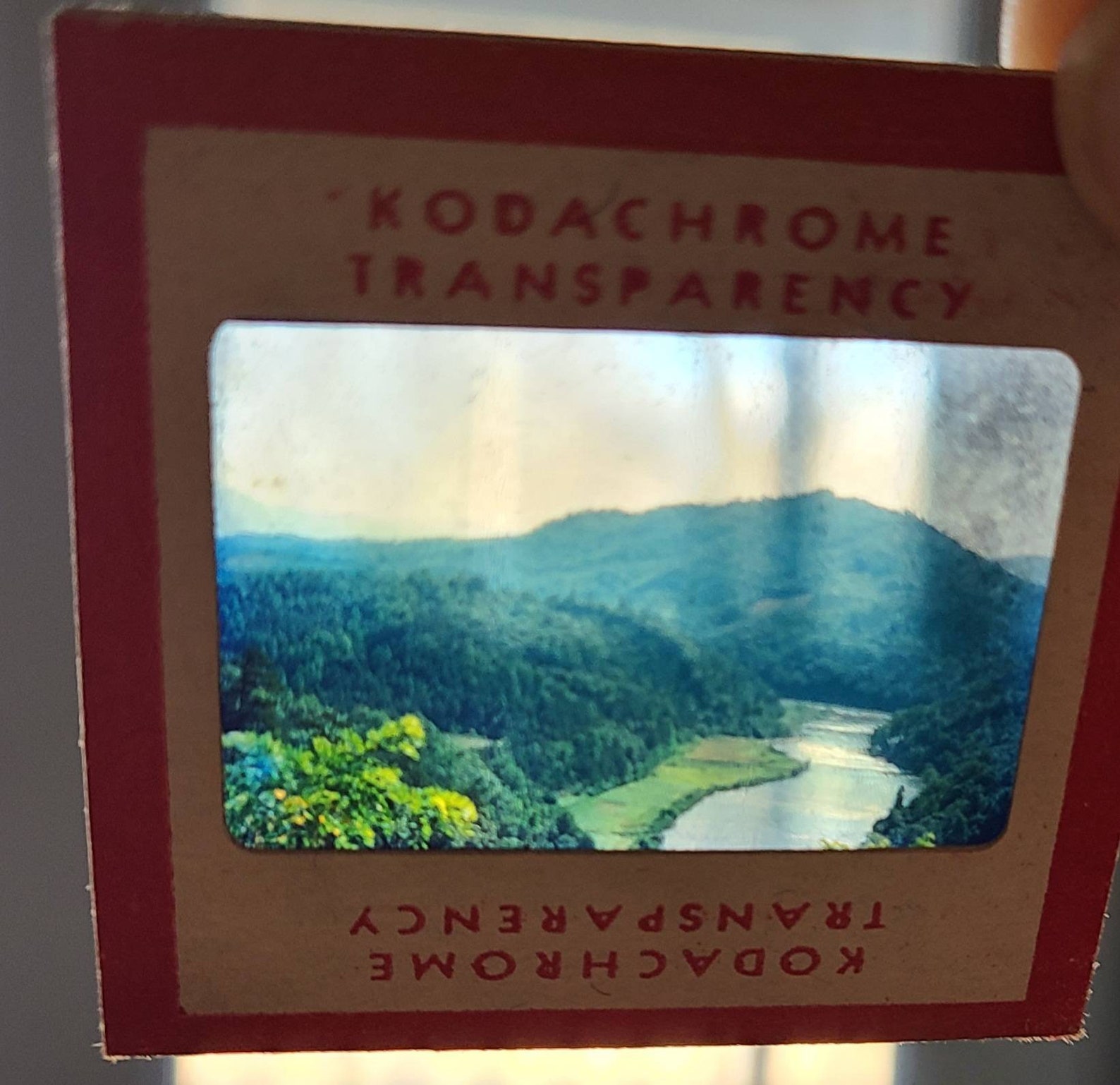 Vintage Metal Slide Case 35 Mm Slide Box Gray Metal Slide Storage Box