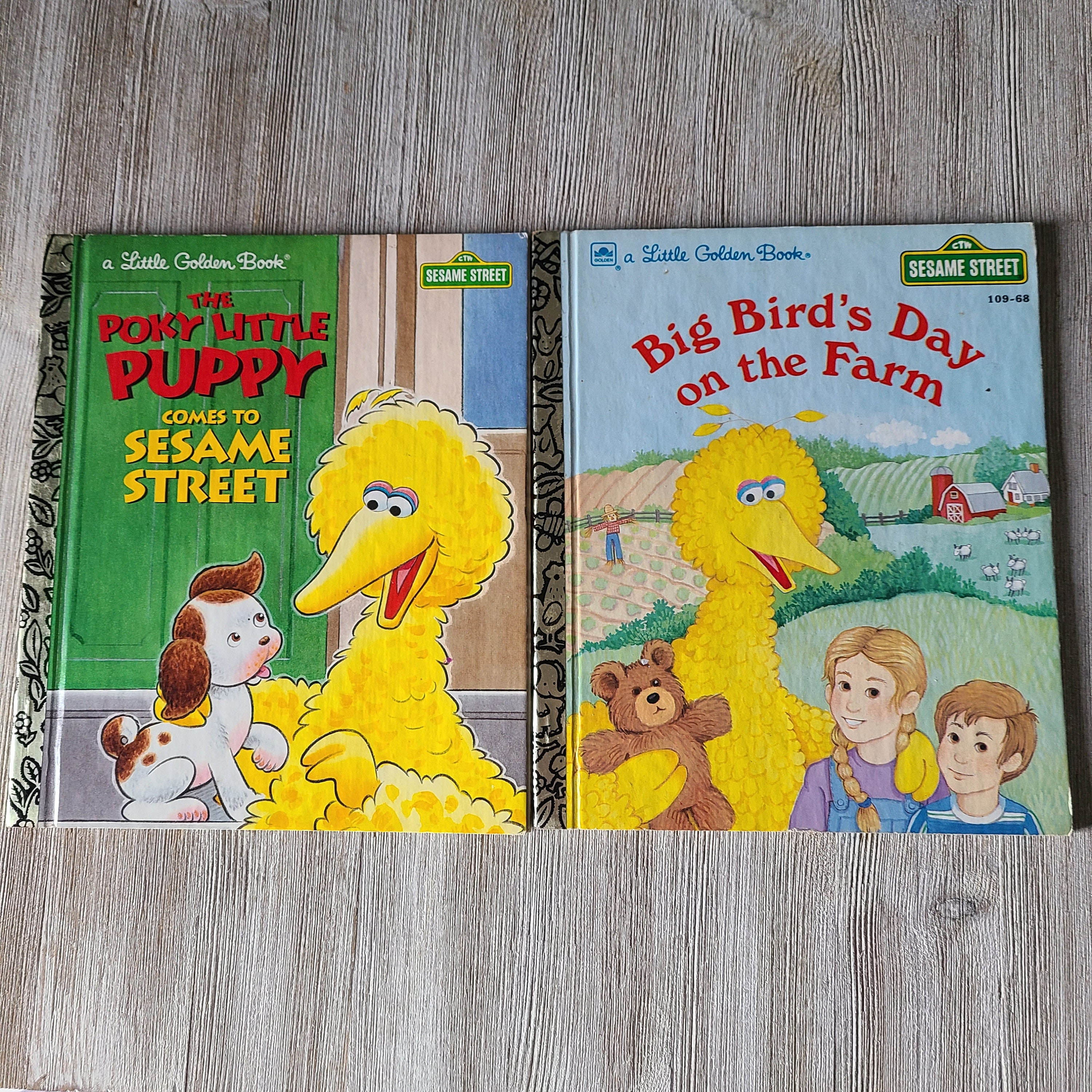 Vintage Sesame Street 1980's Little Golden Book Big Bird's Day on