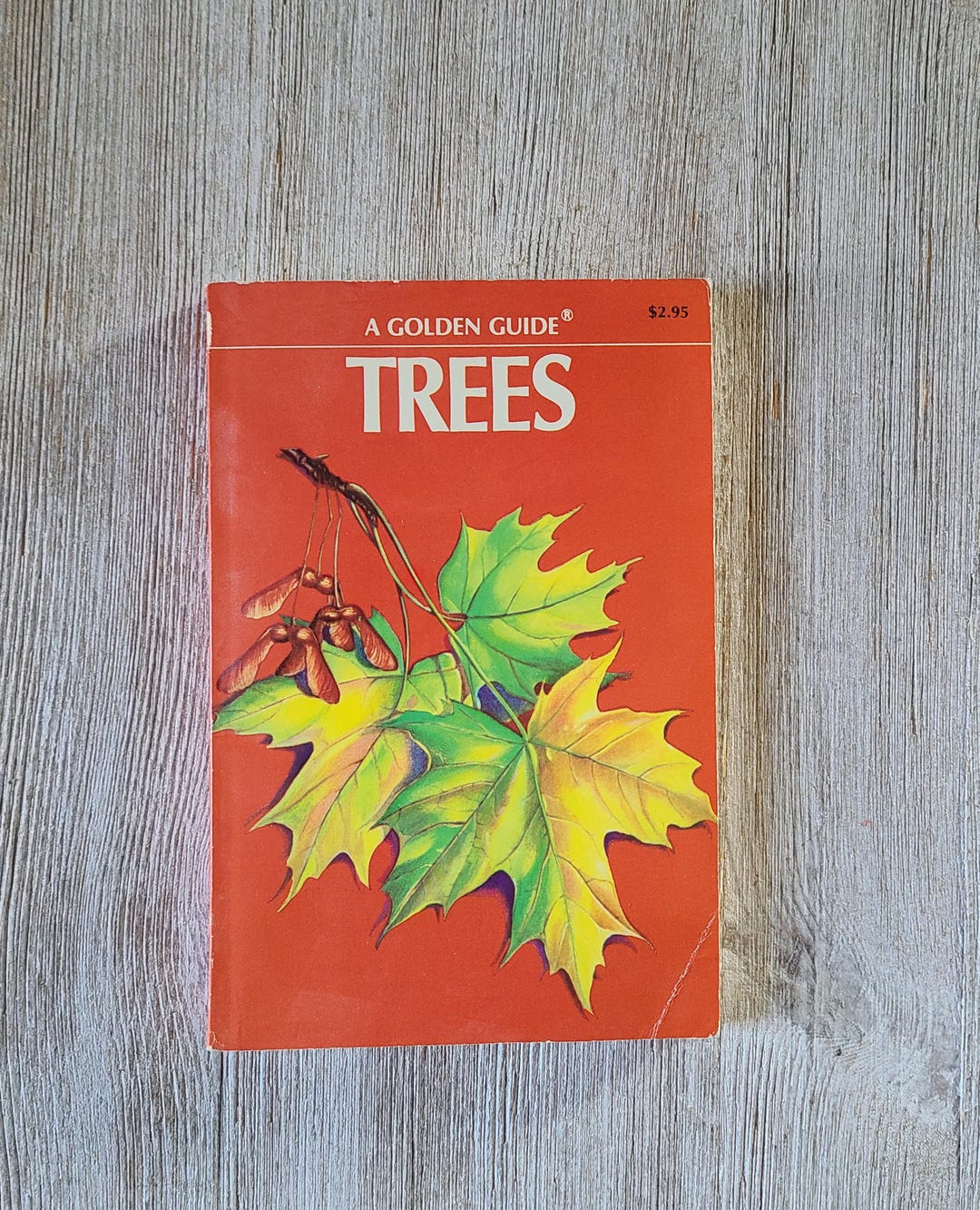 Vintage Tree Golden Guide Book 1950s A Guide to Familiar American Trees ...
