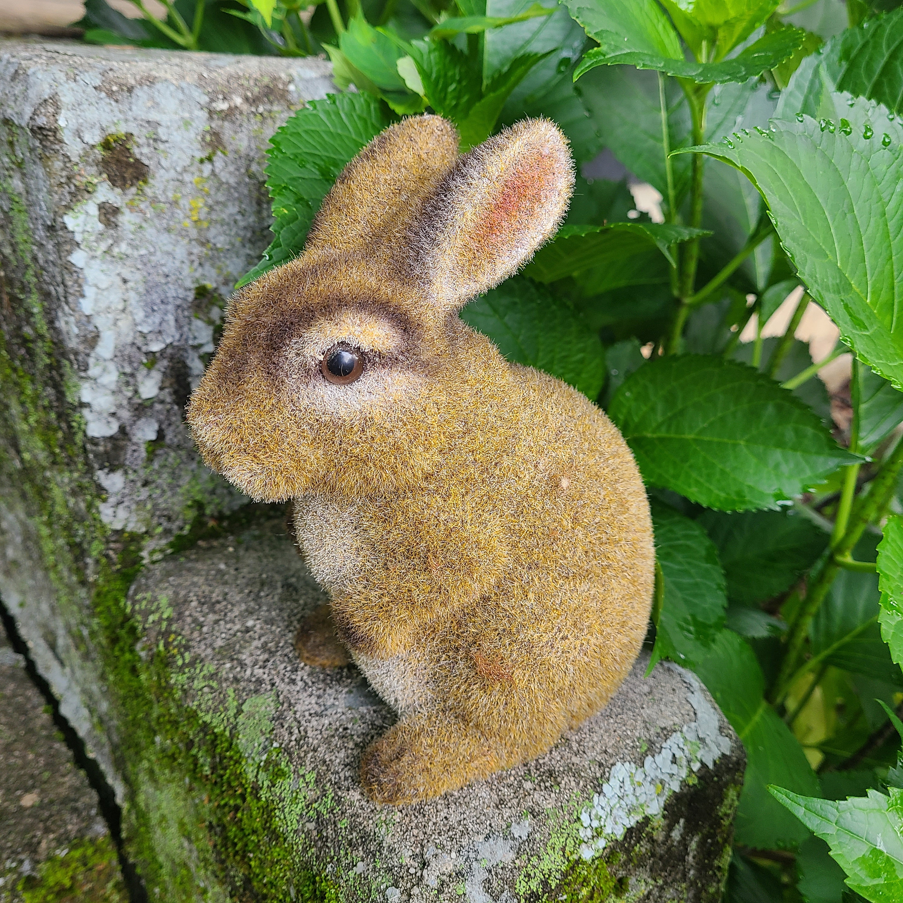 1950s Bunny Bank - Etsy