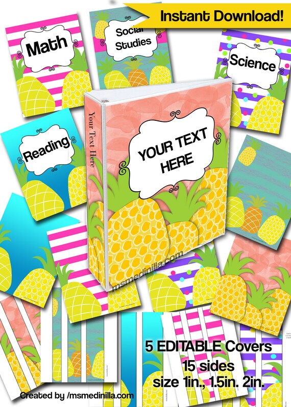 pineapple binder covers student teacher substitute folder etsy
