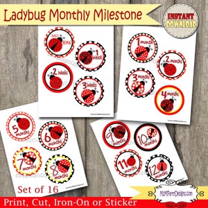 Ladybug Baby Monthly Milestone Stickers / Iron Ons Téléchargement instantané, Image numérique, DIY Onesie Iron On