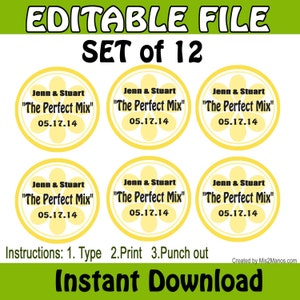 Lemon Slice Wedding Gift Tags Printable DIY EDITABLE Set of 12 Instant Download Lemonade