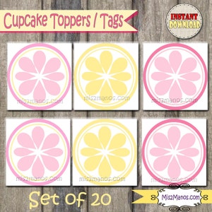 Pink Lemonade Lemon Slice Tags and Cupcake Toppers Printable DIY Set of 20 Instant Download Lemonade