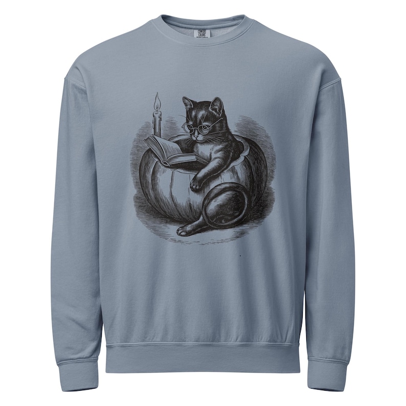 Black Cat Reading in Pumpkin Sweatshirt by AeroBeloved