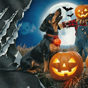 Dachshund Halloween Hoodie, Howling Wiener Dog Hoodie, Pumpkin Doxie Sweatshirt, Dachshund Mom Hoodie Gift image 5