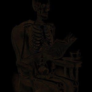 May include: A dark, high-contrast illustration of a human skeleton sitting in an ornate armchair. The skeleton is holding an open book in its hands, appearing to read. Beside the chair, a small side table holds a teacup with a spoon inside.