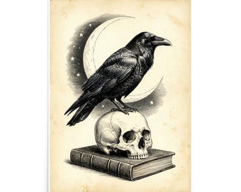 May include: A black and white ink-style illustration on aged paper featuring a raven perched atop a human skull, which rests on a closed hardcover book. Behind the bird, a crescent moon is surrounded by small stars in a dark, shaded sky.
