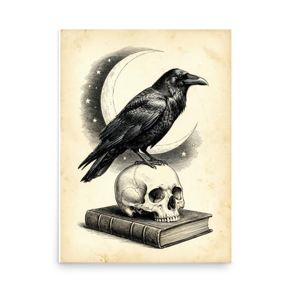 Raven Skull Wall Art by AeroBeloved