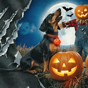 Dachshund Halloween Sweatshirt, Howling Doxie Pumpkin Crewneck, Wiener Dog Mom Pullover, Moonlit Dachshund Sweatshirt image 5