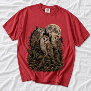 Three barn owls on a mossy stump under a huge full moon with ferns and mushrooms, dark realistic forest illustration