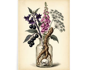 Puede incluir: Una ilustración botánica sobre un fondo crema que muestra una botella de vidrio transparente con un pequeño cráneo humano y una raíz gruesa. De la botella emergen flores moradas en forma de campana, dedaleras rosas y flores blancas.