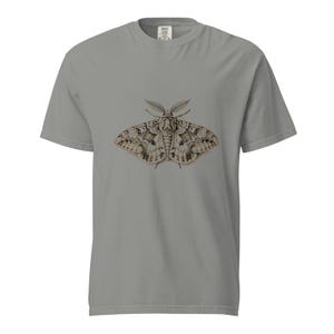 Moth Shirt, Retro Moth Specimen Tee, Comfort Colors Moth T-shirt, Dark Academia Moth Shirt, Entomology Moth Tee Gift image 3