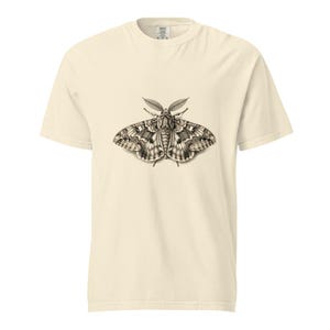 Moth Shirt, Retro Moth Specimen Tee, Comfort Colors Moth T-shirt, Dark Academia Moth Shirt, Entomology Moth Tee Gift image 4