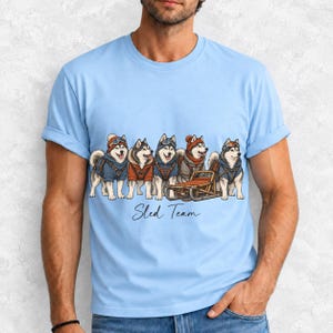 Illustrated huskies in ski gear lined up with a sled, text Sled Team