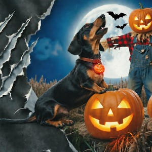 Dachshund Halloween Blanket, Moonlit Pumpkin Doxie Throw, Wiener Dog Throw Blanket, Cozy Fall Dachshund Blanket image 1