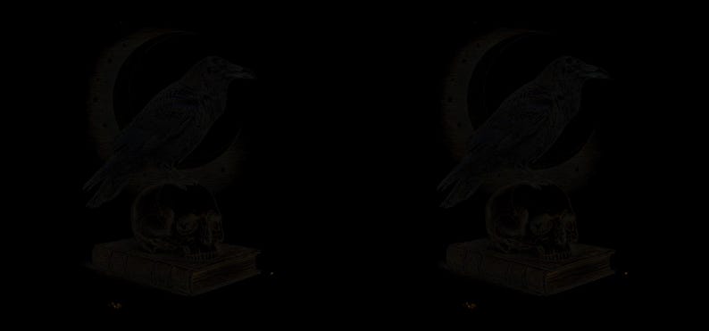 May include: A dark, monochromatic illustration featuring a raven perched atop a human skull, which rests on a closed book. Behind the raven, a crescent moon is visible. The entire composition is rendered in shades of black and dark gray.