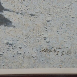 May include: A close-up of a white textured surface with a black signature that reads "M.C. Huy & 1994".