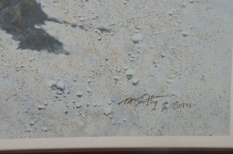 May include: A close-up of a white textured surface with a black signature that reads "M.C. Huy & 1994".