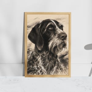 May include: A framed charcoal-style drawing of a German Wirehaired Pointer dog. The portrait features the dog's head and neck in profile, showcasing its dark, textured fur, long ears, and a distinctively bearded muzzle against a light background.