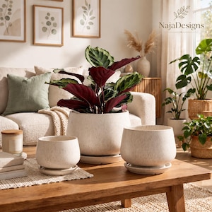 May include: Three off-white ceramic planters with matching saucers, featuring a subtle speckled texture. The planters are arranged on a wooden table, with the largest one holding a plant with dark red and green leaves. NajaDesigns logo is visible.