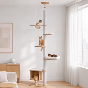 Könnte beinhalten: Ein deckenhoher Kratzbaum mit einem zentralen, weiß umwickelten Sisalstamm, mehreren hellen Holzplattformen, einer transparenten Acrylschale und einer quadratischen Holzhöhle. Vier Katzen befinden sich auf verschiedenen Ebenen.