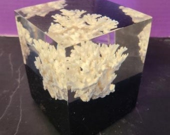 Chic Modern Vintage MCM Lucite Acrylic Cube Block Coral Sculpture Décor 2937