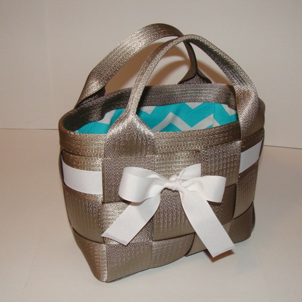 Champagne purse with chevron lining