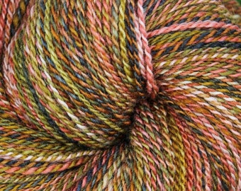 Sport Weight Yarn, Handspun BFL/Silk blend, 350 yards of a 2 ply Gradient Yarn