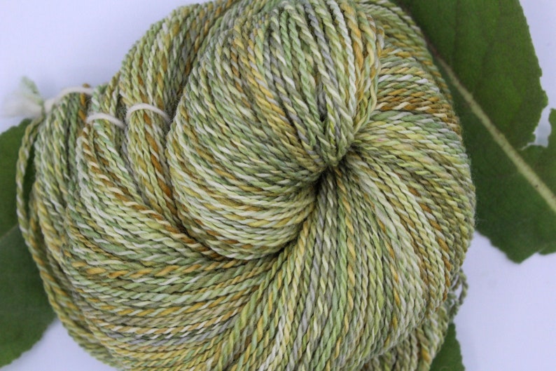 DK Weight Yarn Handspun olive Branch Polwarth Etsy